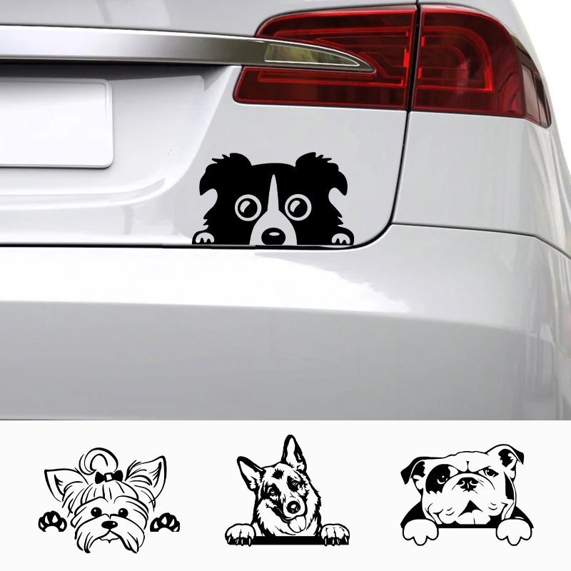 Car Accessories Name - Cars Accessorie Decals Funny Dog With