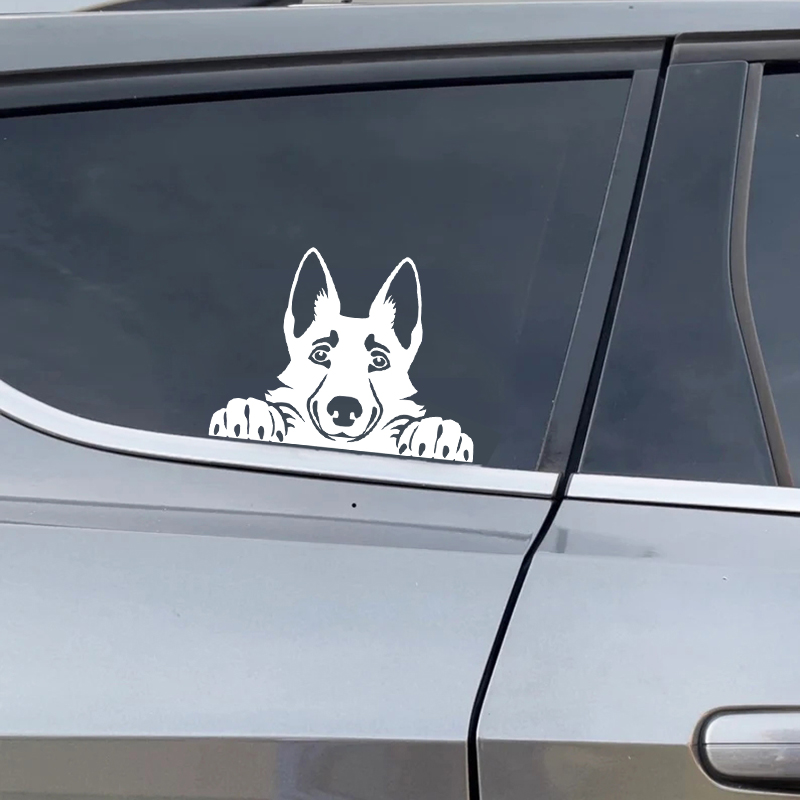 Cars Accessorie Decals Funny D - Car Accessories Name ulasan dan harga